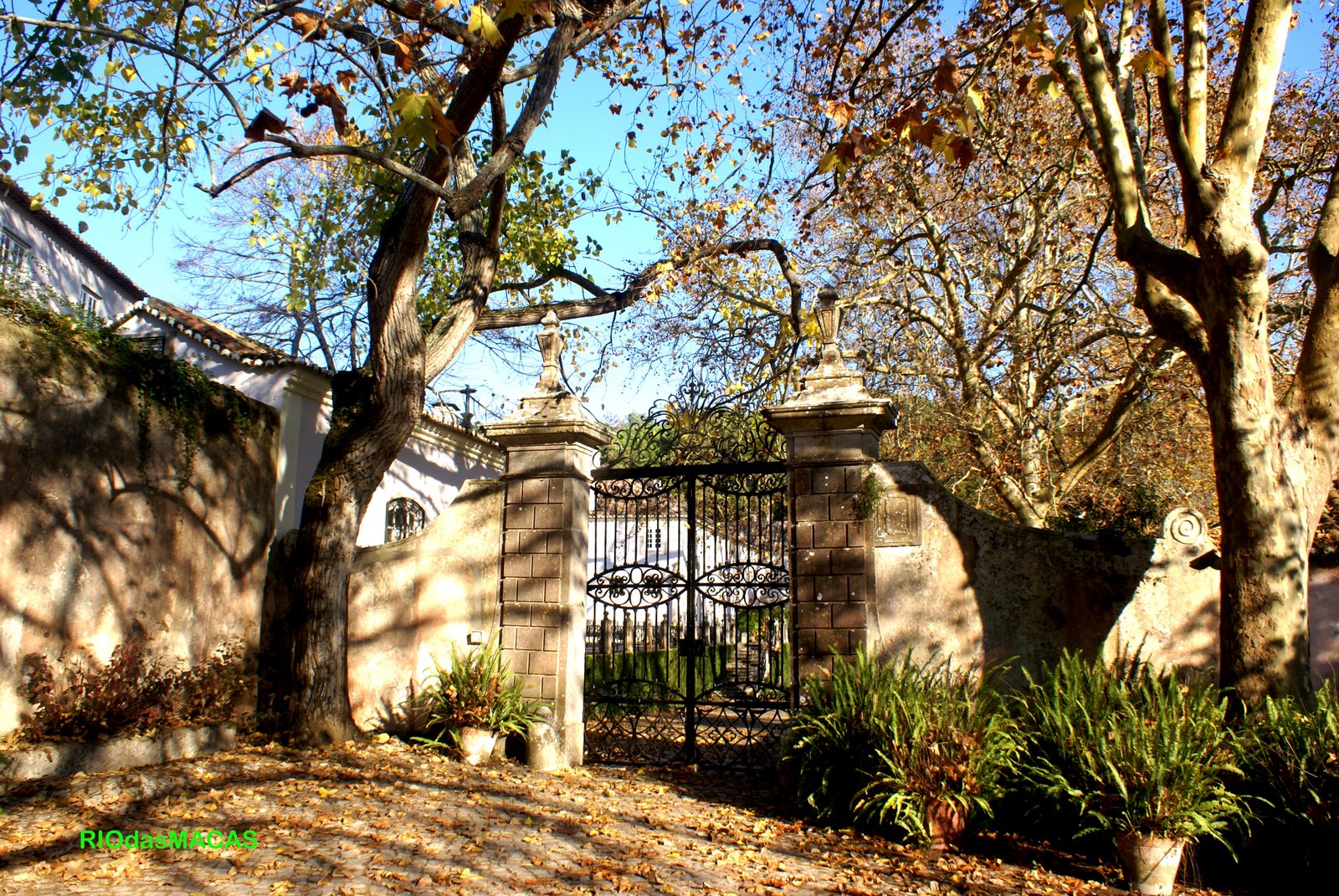 [quintavinagreportao.jpg]