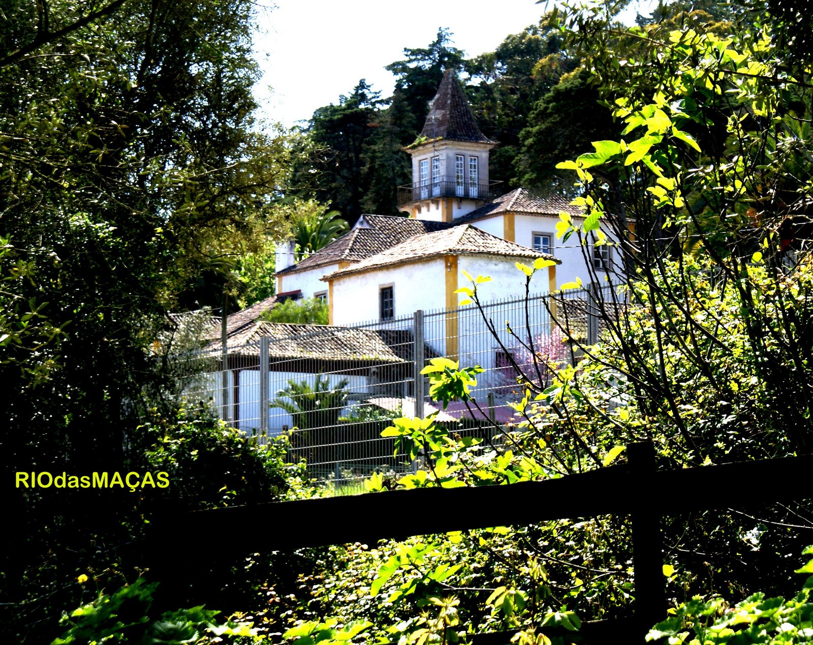 [roÃ§adasfinal.jpg]