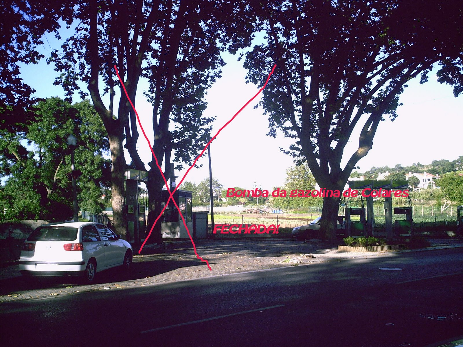 [colares20072.jpg]