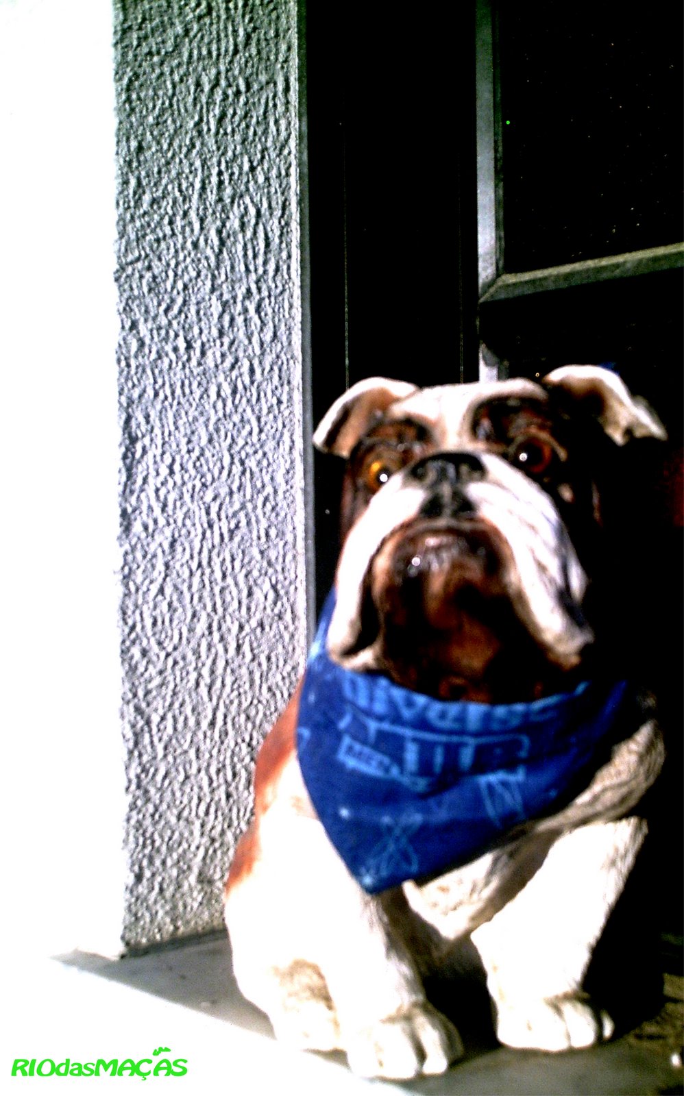 [caofinal222final.jpg]