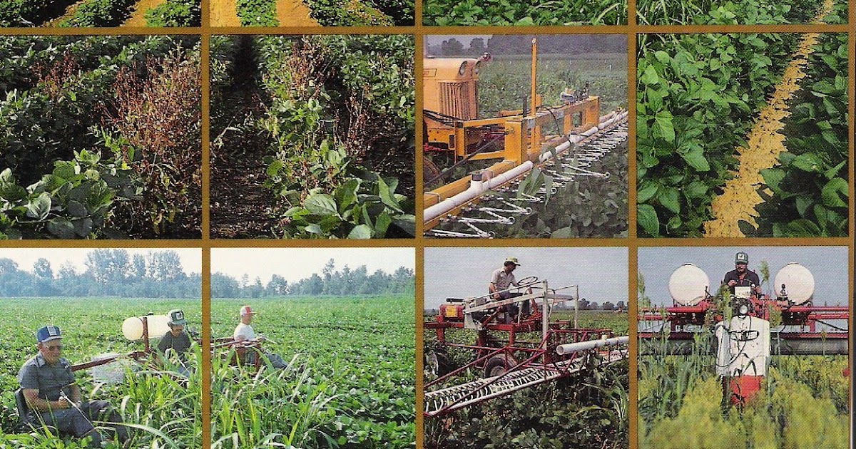 Wipe Out Weeds Wick Stick and Wick Bar Roundup Applicator for hard to