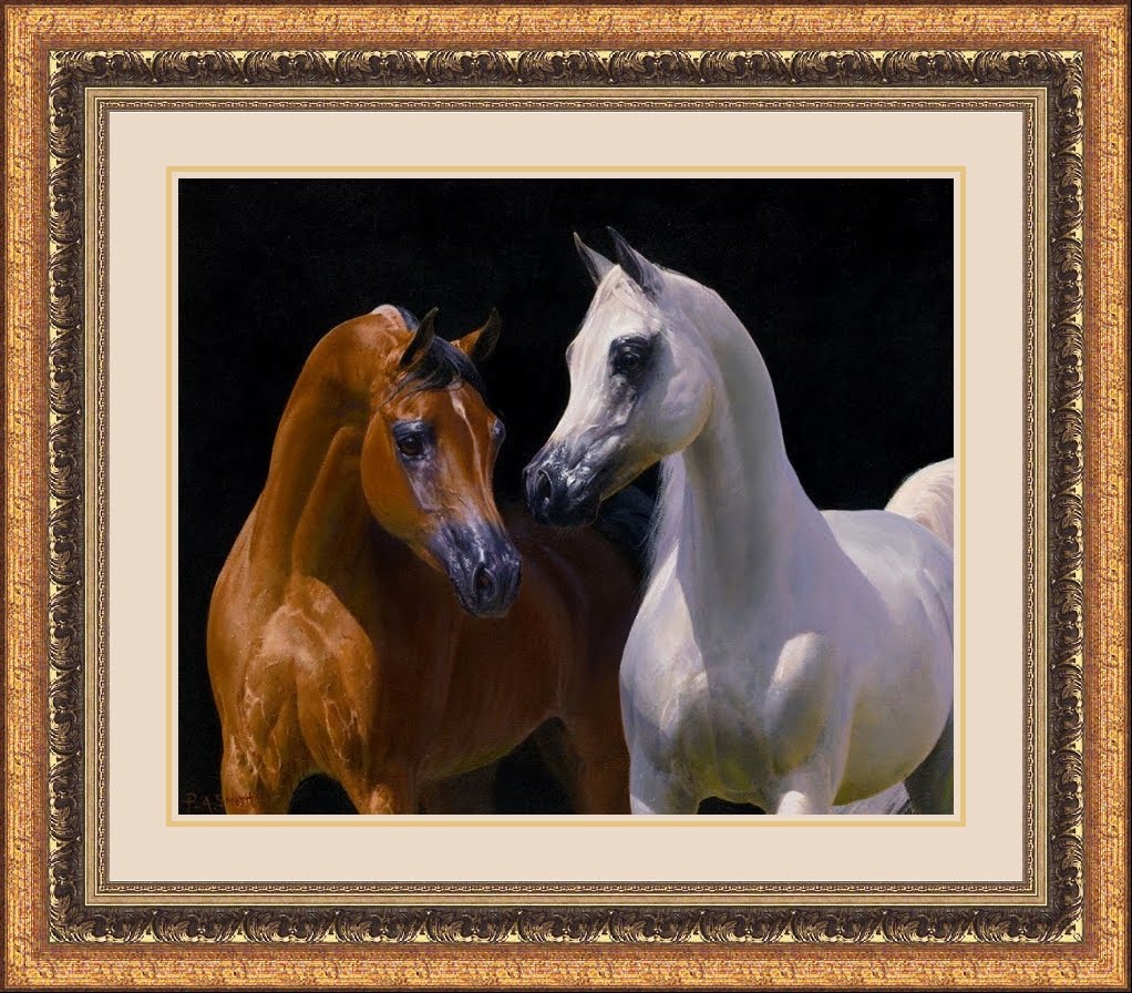 Hindart3 الخيول العربية في لوحات رسم