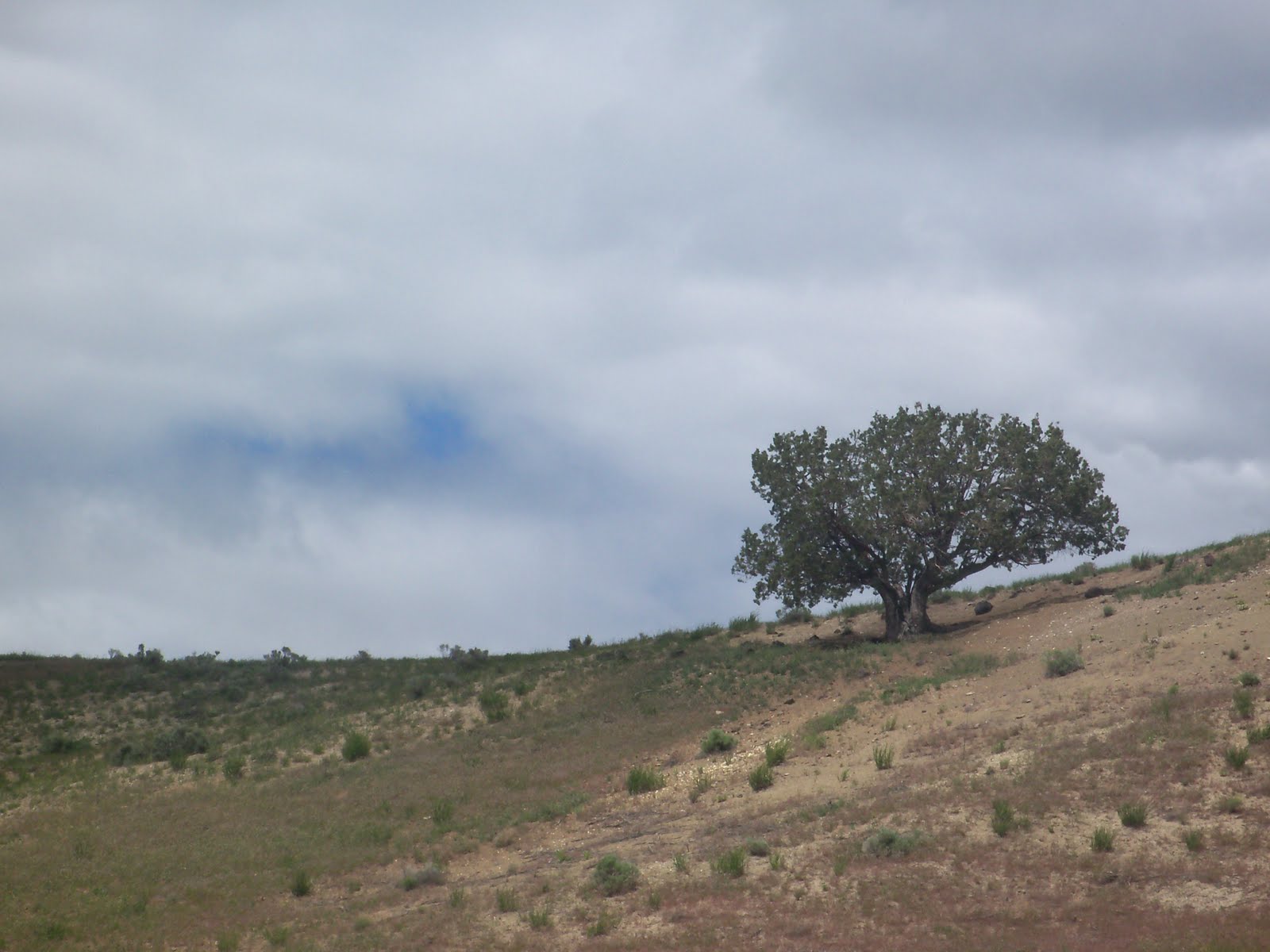 Wilber County Drewsey, Oregon