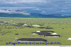 སྦྲ་ནག་གི་ཕ་ས།