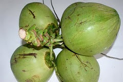 Kelapa Muda