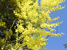 se acerca la primavera