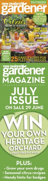 Issue on sale now