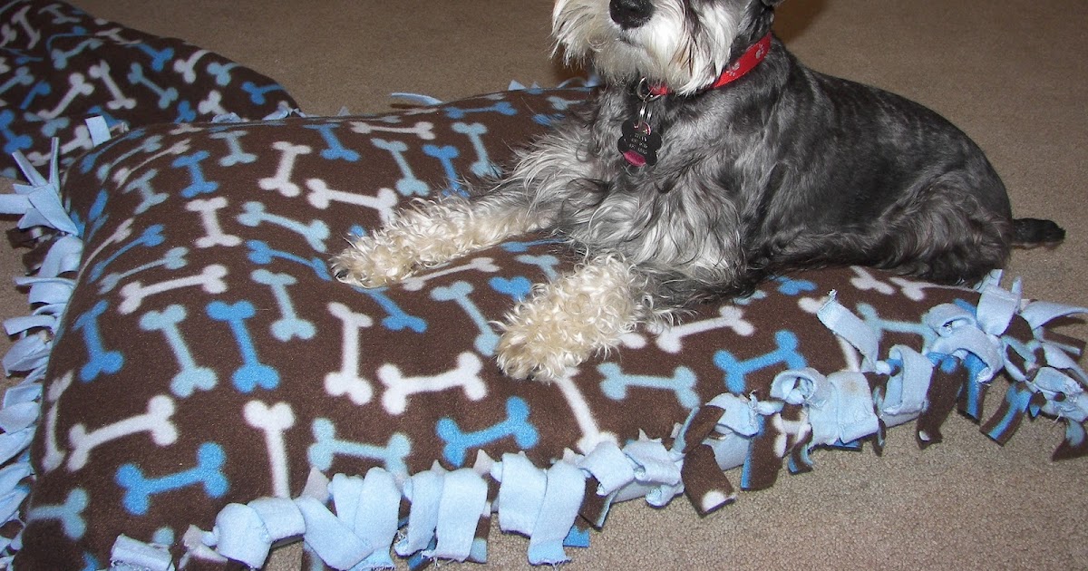 Puppy Pillows The Architect and The Artist