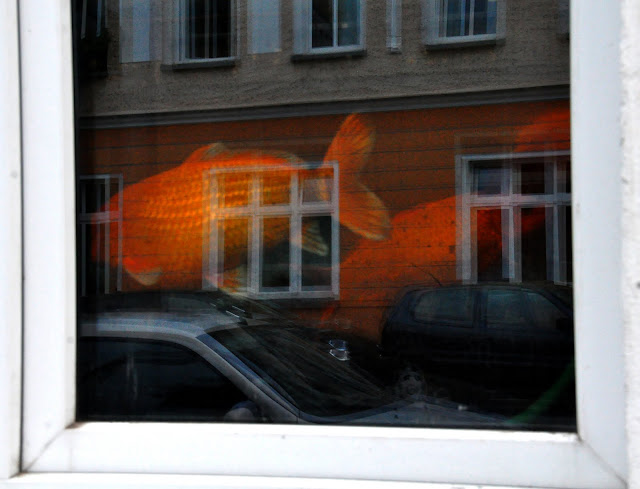 peixets berlin