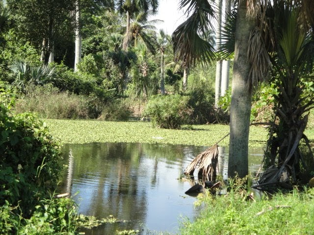 LA VOZ OFICIAL DE BAITOA EN EL MUNDO. Lugares de Baitoa que usted debe