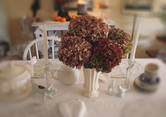 [hydrangea2.jpg]