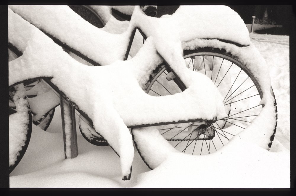 [snow4.JPG]