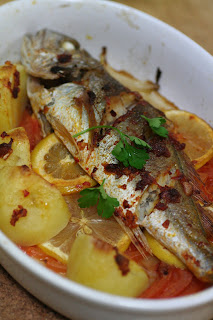 Gatto E Topo モロッコ風焼き魚 サフランライス