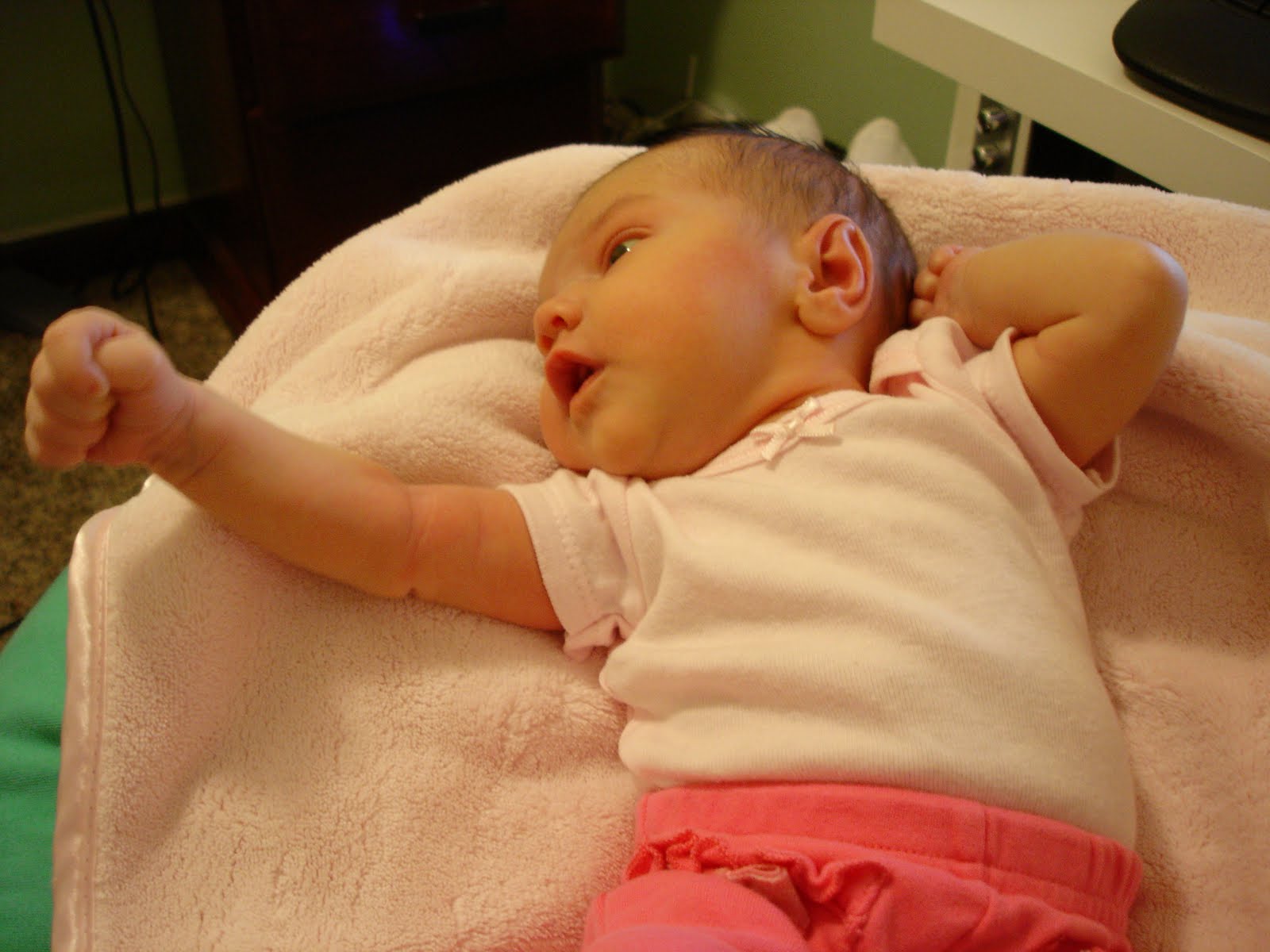 [DSC08684.JPG]