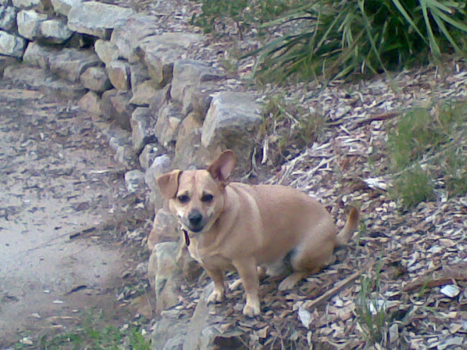 My Mischek