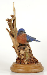Eastern Bluebird