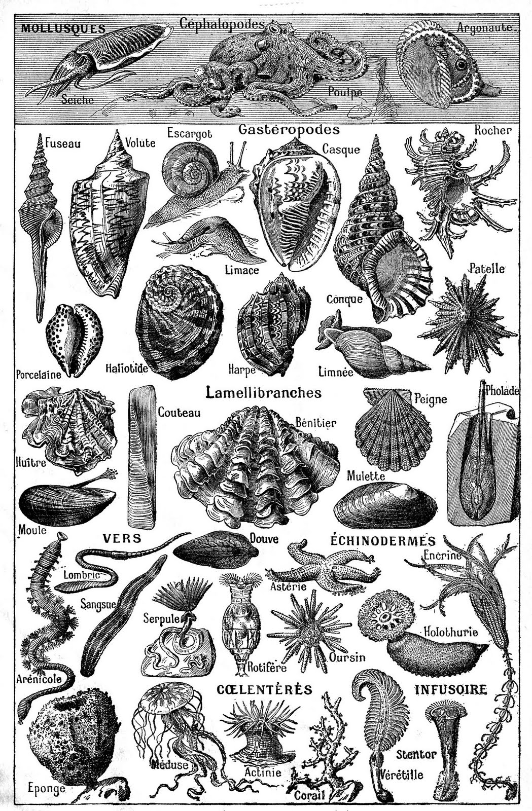 forum site rencontre edarling