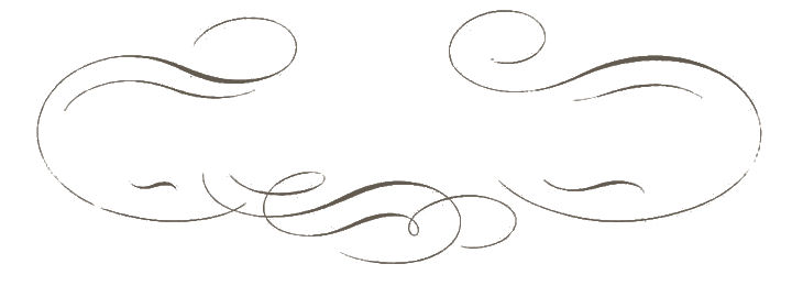 [curlyheaderlarge3.jpg]