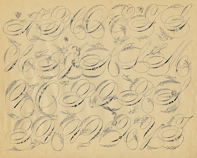 spencerian alphabet bird font