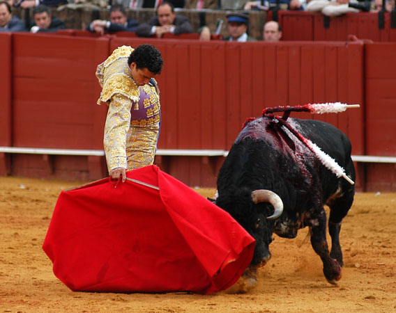 [007-toreo-de-calidad.jpg]