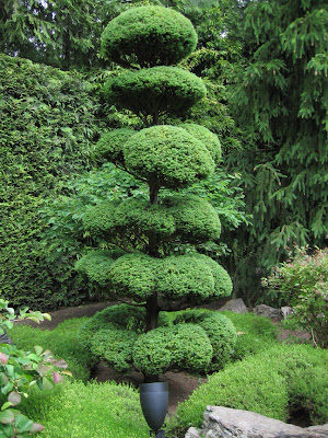 Canadian way of life: July 2007