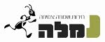 נמלה - אימון אישי ועסקי