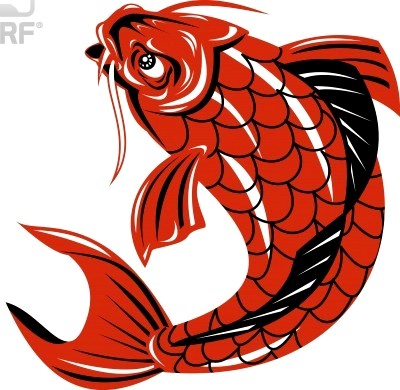 design ikan koi