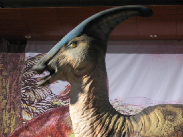 [IMG_0668.JPG]