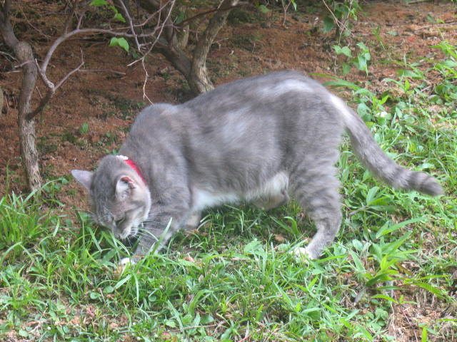 [IMG_1502.JPG]