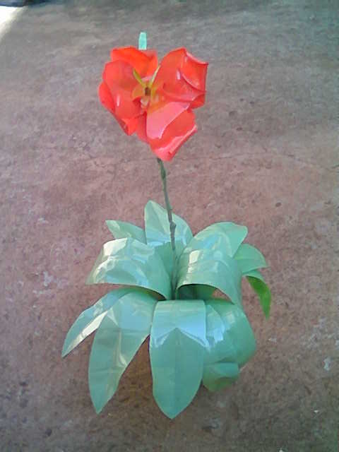 FLOR  DE  PET