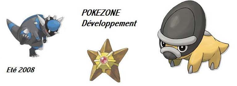 POKEZONE espace développement