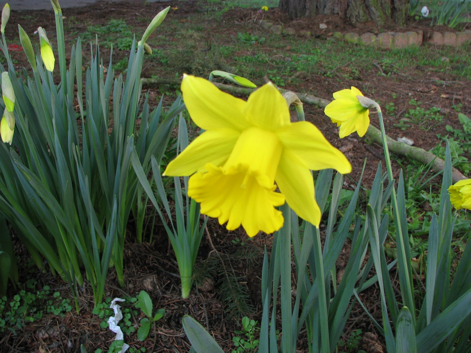 [IMG_7467.JPG]