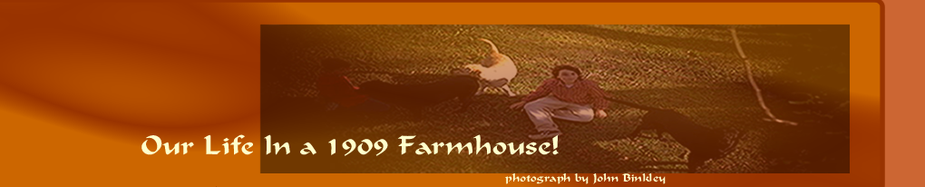 1909 Farmhouse - Our Life