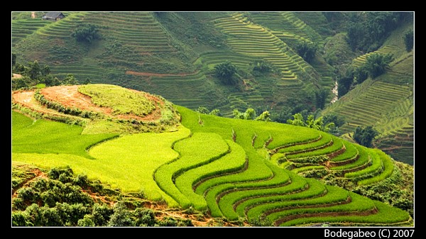 Canh-Dep-Sapa Canh Dep Sapa http://didulichsapa.blogspot.com/2010/11/gioi-thieu-ve ...