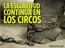 Circos Sin Animales