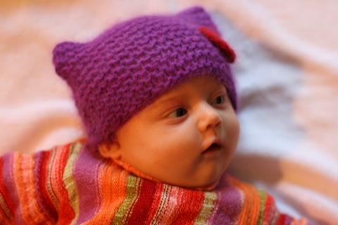[IMG_4739.JPG]