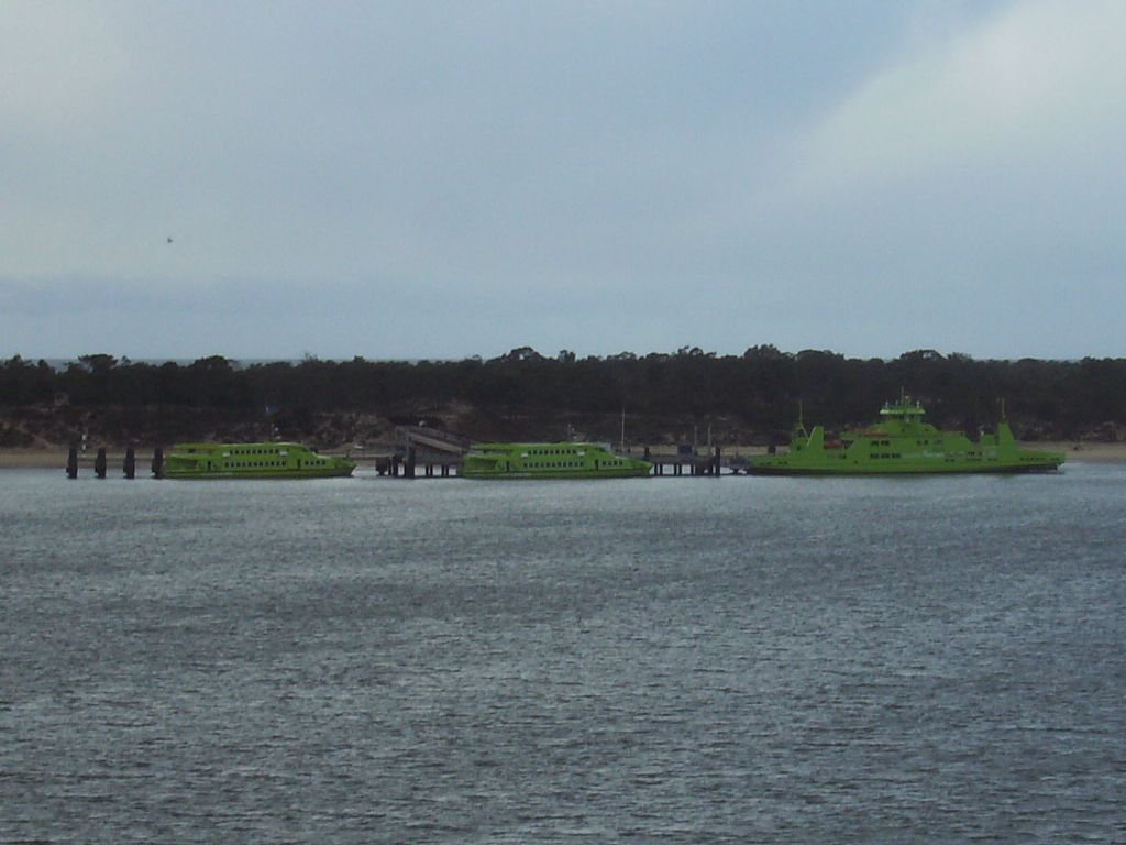 [Terminal+Ferry's+-+5267.JPG]
