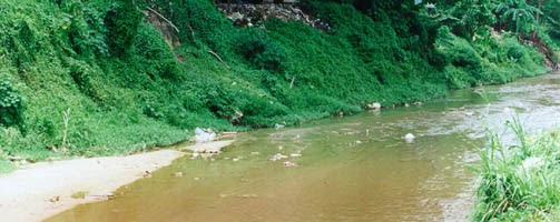 Sungai Isu Pencemaran Sungai di Malaysia