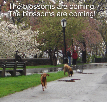 [SpringTimeInRiverside+copy.jpg]