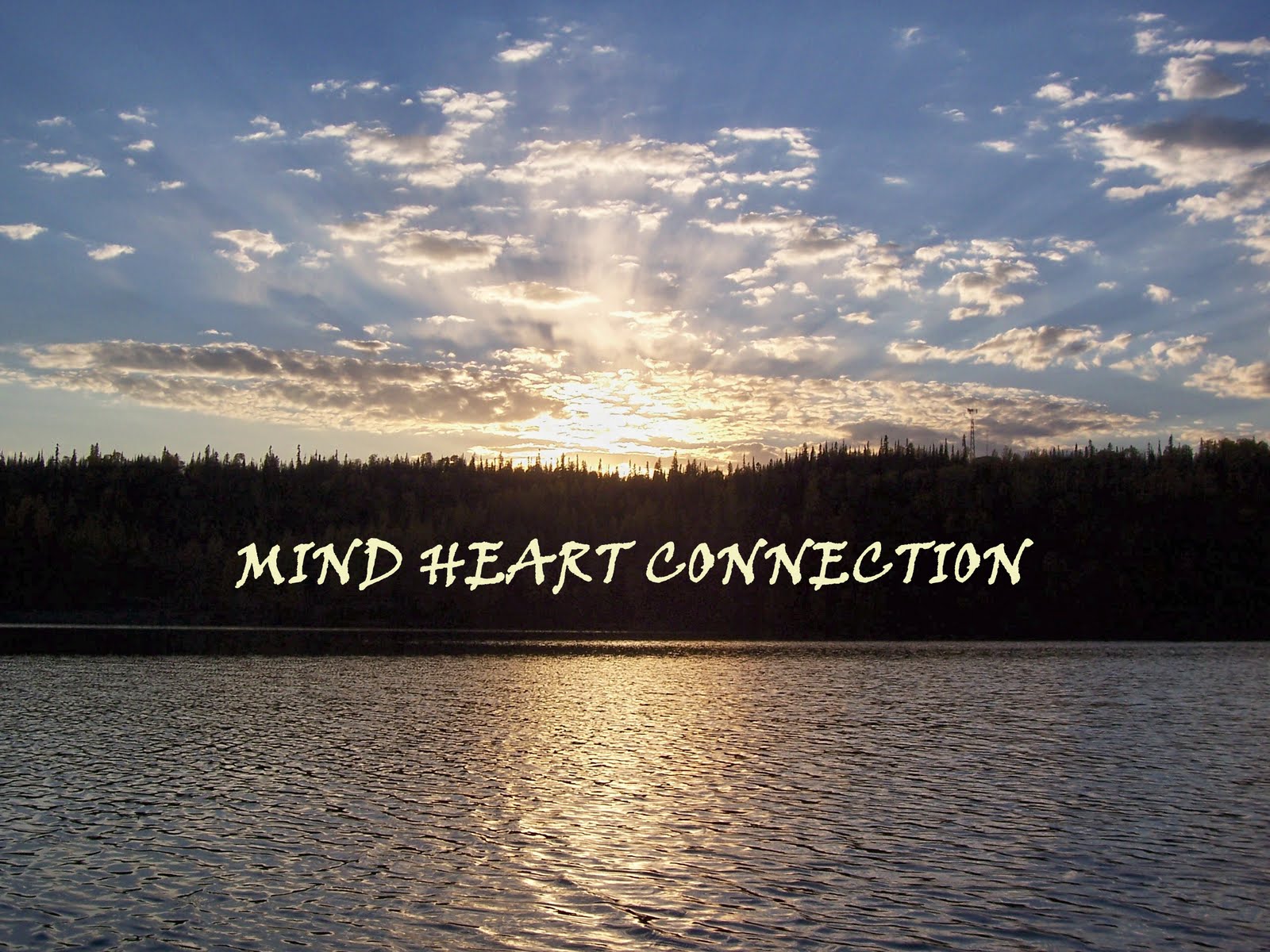 Heart Connection