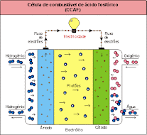 Reactor electroquímico 2.