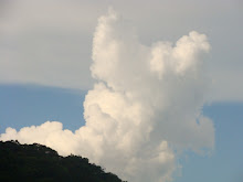 Naquela nuvem, naquela ... mando-te meu pensamento. Que Deus se ocupe do vento...