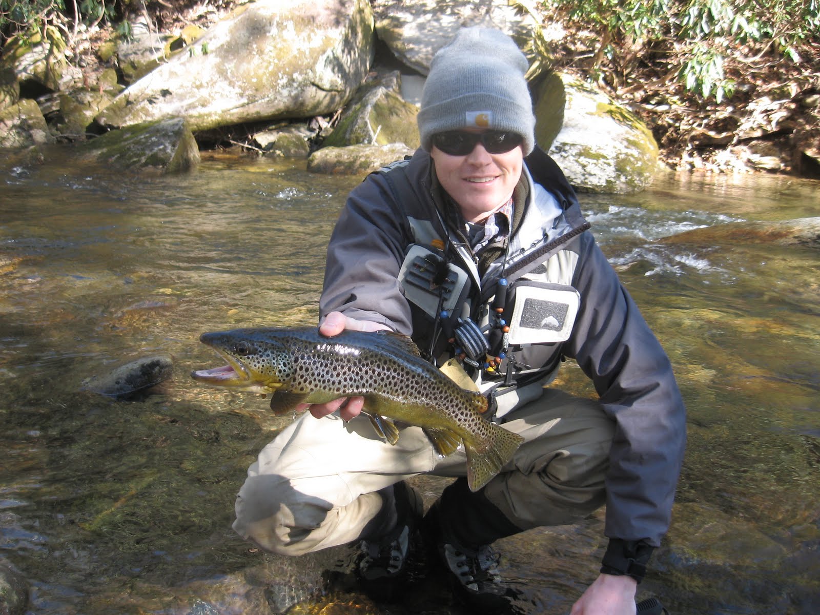 Brown Trout Fly Fishing Davidson River 3/26