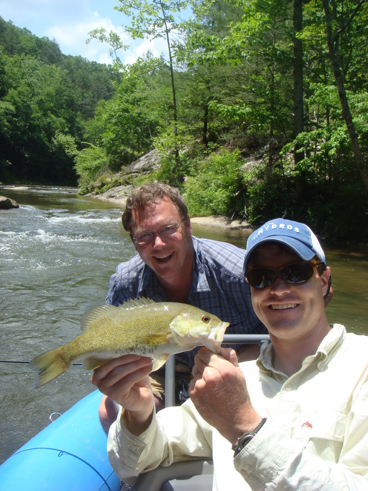 Brown Trout Fly Fishing Early June Toe River Smallmouth