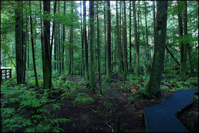 Camosun Bog