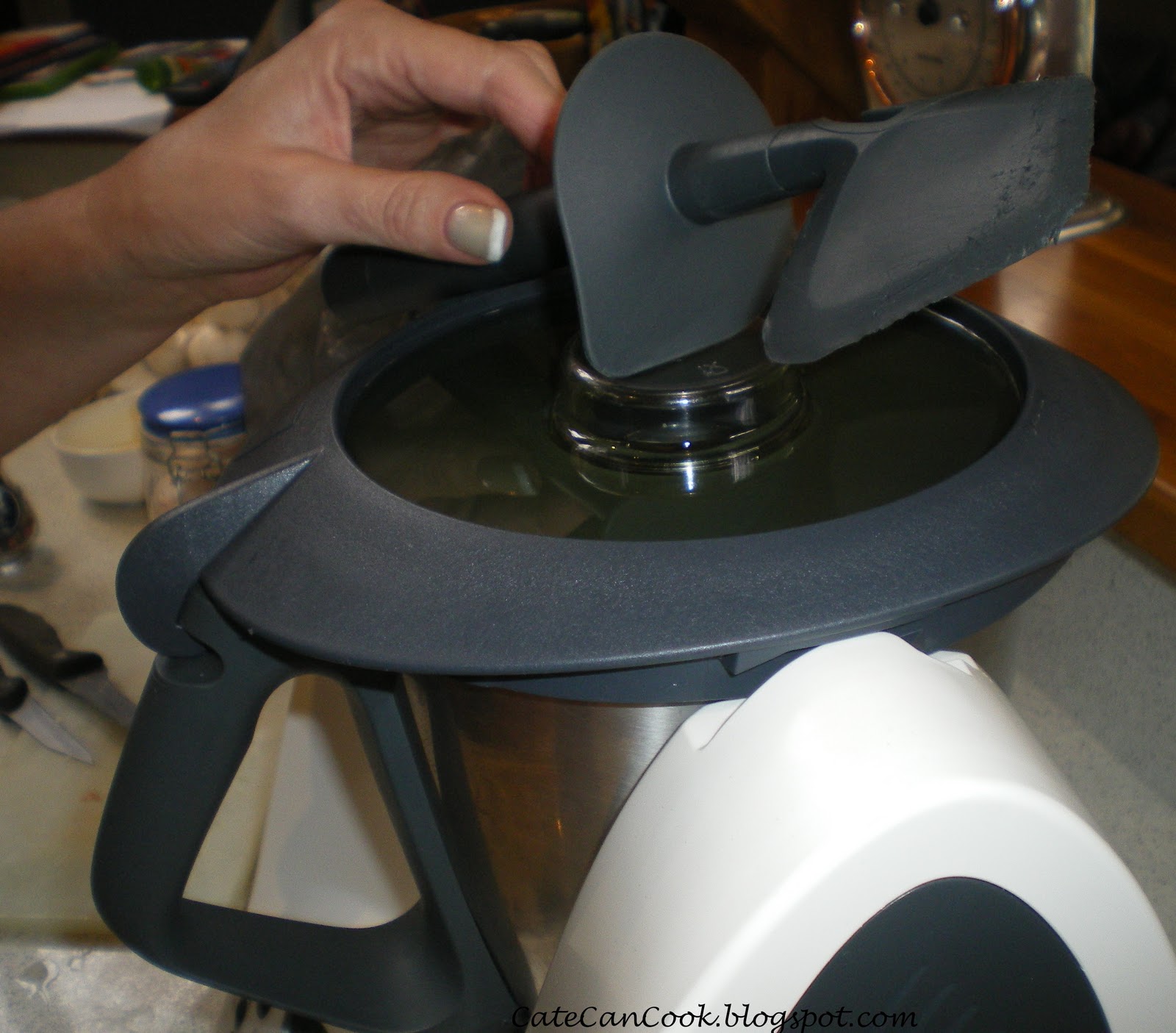 Cate Can Cook, So Can You!! The Basics using a Thermomix