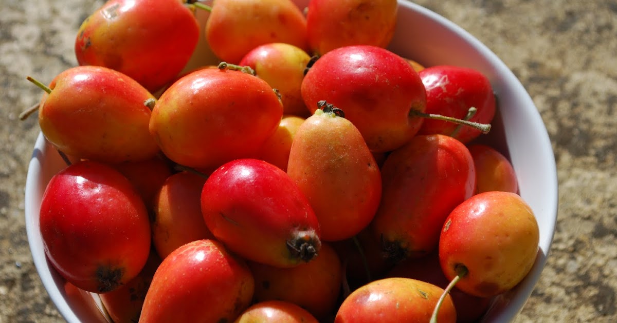 jillicious!: Crab apples