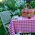 A Country Picnic!