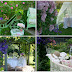 Summer Scenes for Mosaic Monday