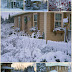 Our Winter Garden